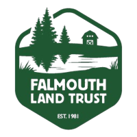 Falmouth Trust Logo
