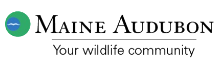 Maine Audubon logo