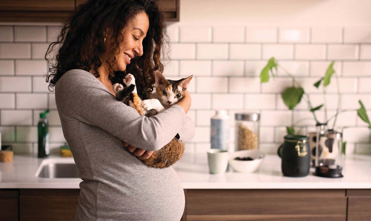 pregnant woman holding pet cat