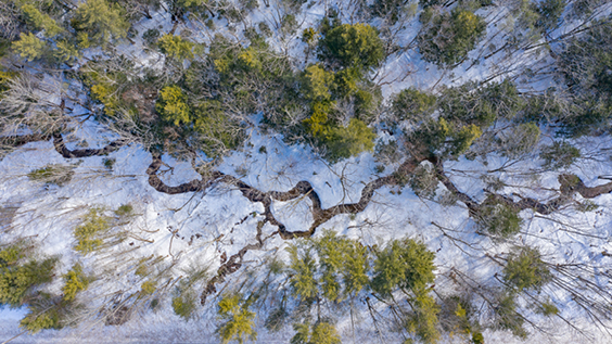 Top view of the winter Maine woods