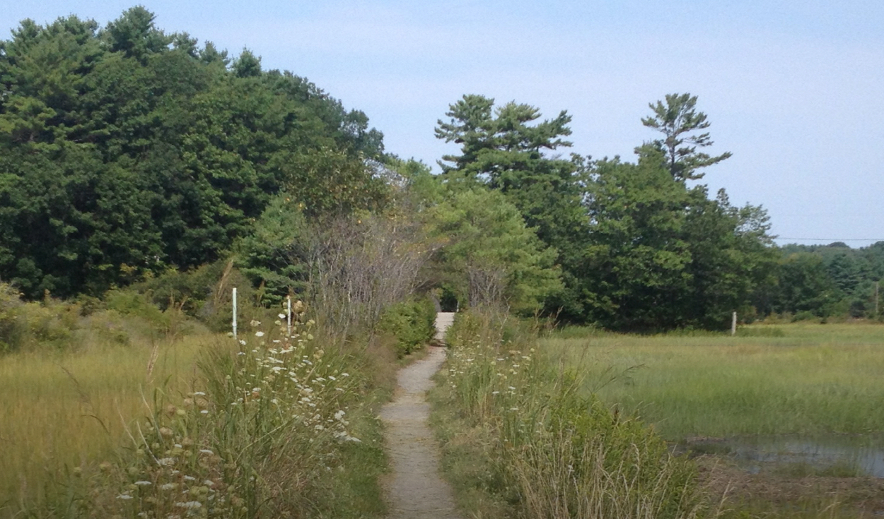 Portland Trails hiking trail