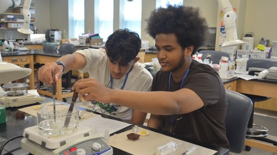 UNE students in lab