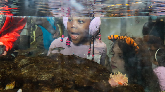 girl looking in aquarium
