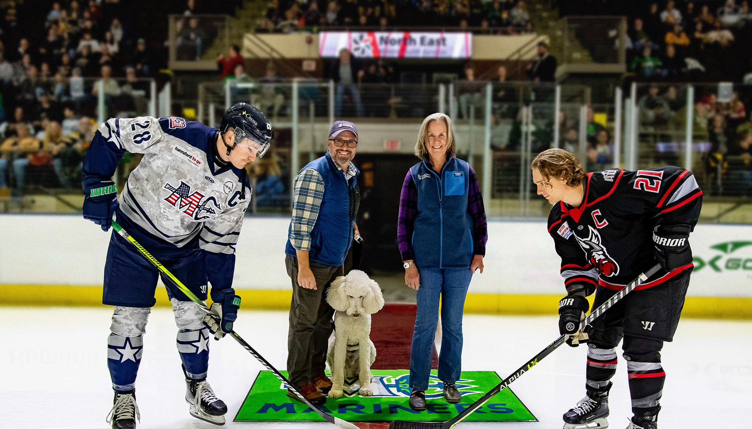 hockey players on ice
