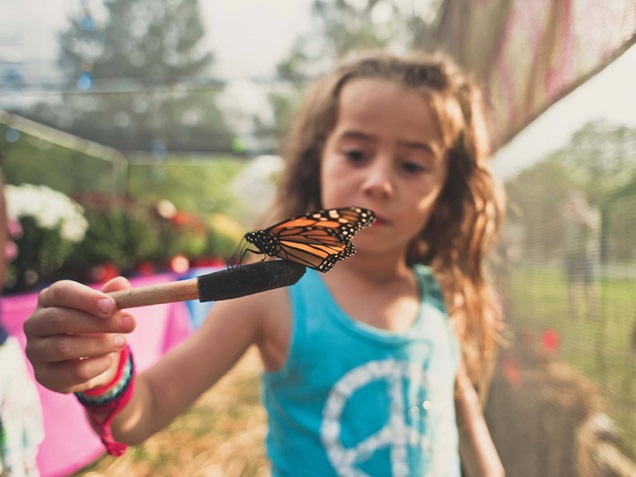 butterfly sitting on paintbrush child is holding
