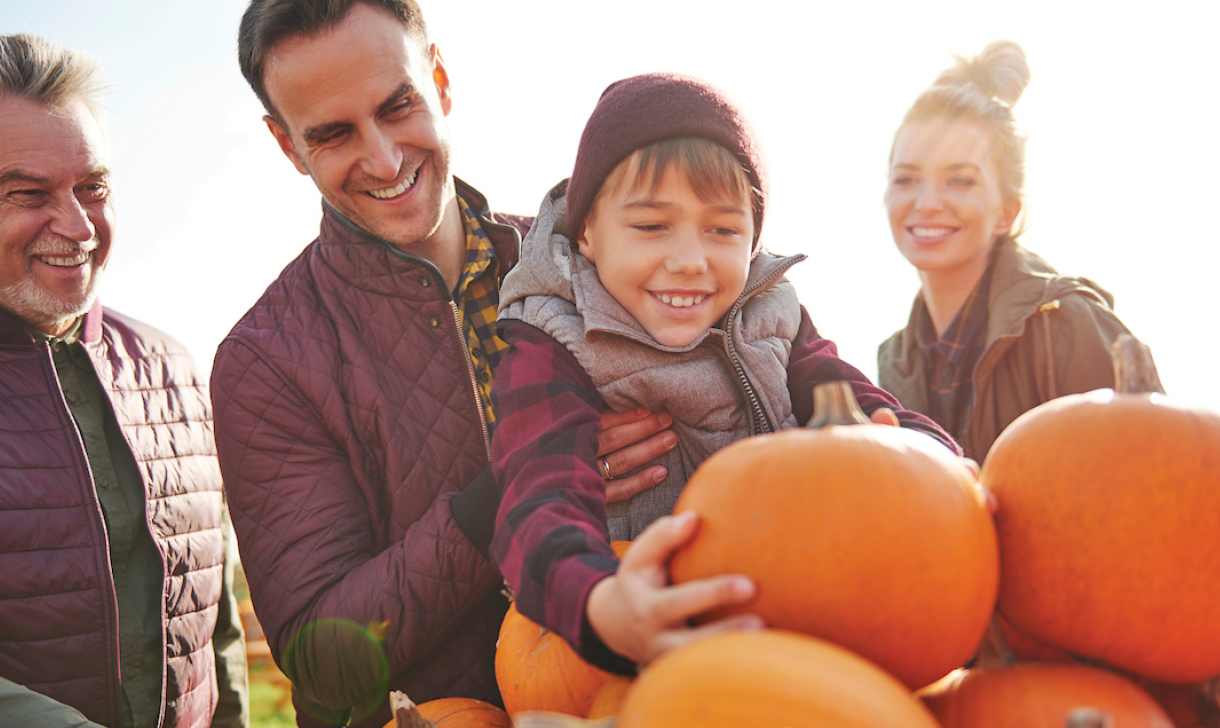 family picking pumpkins