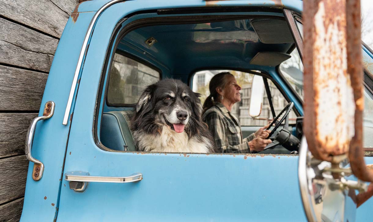 woman and dog in old truck
