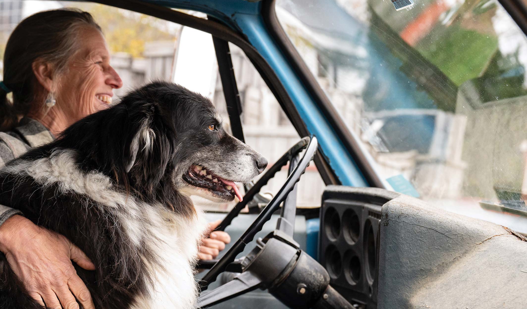 person in car with dog