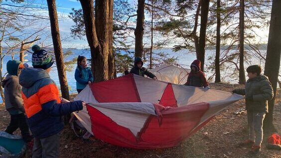 program participants