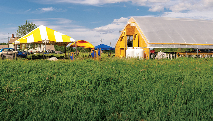 Cultivating Community farm