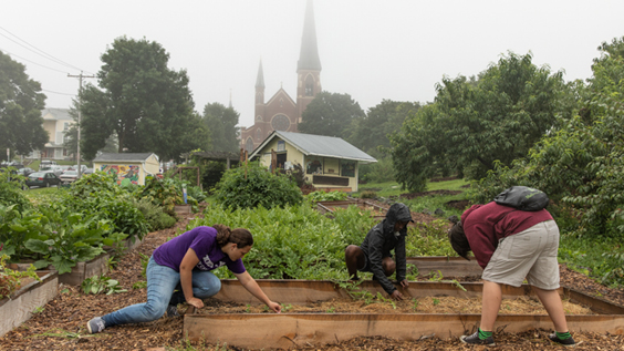people gardening together
