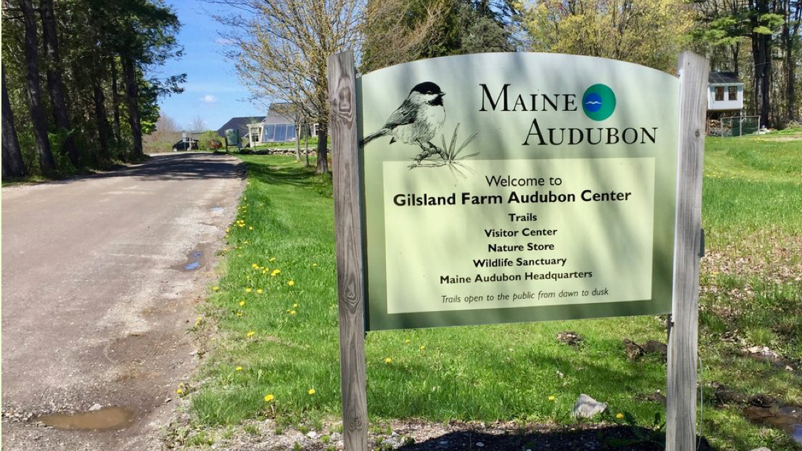 Maine Audubon sign