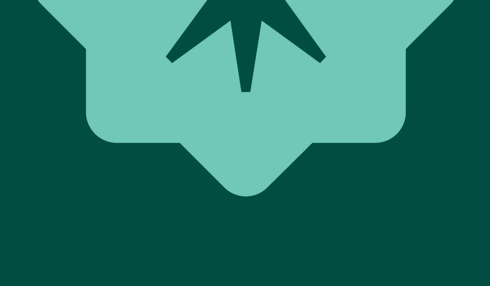 Lower portion of Martin’s Point brand medallion in seafoam on a dark green background.