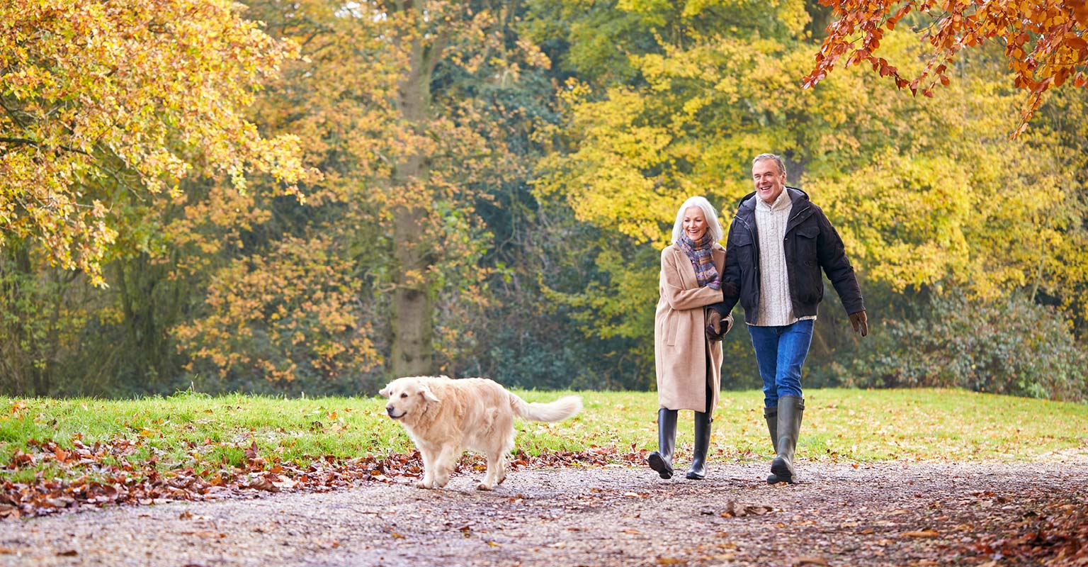 Older couple walking their dog on a leaf-covered path in autumn.