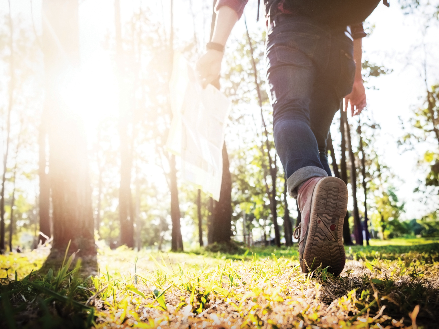 person walking through nature